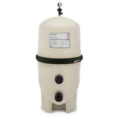 Pentair FNS Plus DE Filter 60 | 180009