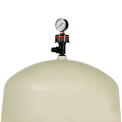 Pentair Quad D.E. 80 Sq. Ft. 160 GPM Pool Filter | 188593