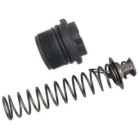 Pentair MasterTemp & Sta-Rite Max-E-Therm Thermal Regulator Kit | 77707-0010