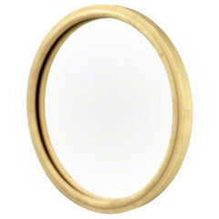 Pentair 79101600Z 8-3/8 inch lens gasket