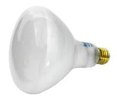 PENTAIR BULB AM 400W 120V REPL | 79102200Z by Pool Supply Depot