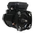 Pentair Challenger Pump Motor 2 HP Three Phase | 354810S - product image 2