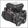 Pentair Challenger Pump Motor 2 HP Three Phase | 354810S - product image 3