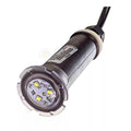 Pentair GloBrite Pool and Spa LED Light, White, 12 V, 15 W, 50' Cord | 602103 by Pool Supply Depot