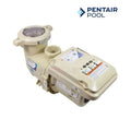Pentair IntelliFlo3 VSF Pool Pump 1.5 HP | 011065 - product image 2