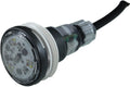 Pentair Microbrite, Color, Led Light 12V 150FT Cord | 620426 by Pool Supply Depot LLC
