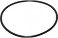 Pentair Rainbow 3" Cap O-Ring | R172009Z by Pool Supply Depot