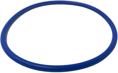 Pentair 356189z. O-ring for IntelliFlo3 and IntelliPro3 VFS Pump. Replacement Part. by Pool Supply Depot LLC