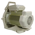 WhisperFloXF® XFK-20 Power End 5HP | 400619Z by Pool Supply Depot
