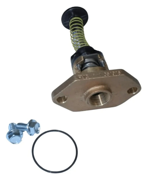 Raypak Bypass Assembly Kit 206-268 | 018759F