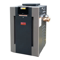 Raypak B-R206A-EN-X #50 Digital ASME Natural Gas Heater, 199.5K BTU, Cupro-Nickel Exchanger, 2