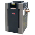 Raypak B-R406A Digital ASME Natural Gas Heater 399K BTU | 017374 - product image 1