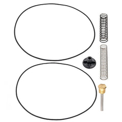 Raypak Digital Heater Bypass Valve Kit | 016194F