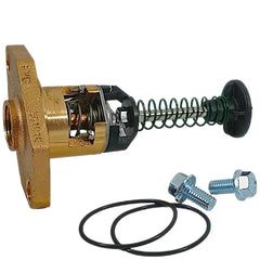 Raypak  UG Bypass Assembly Kit 336-408 | 018758F