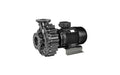 Speck Normblock Multi Series Commercial Pool Pump 25 HP | NB715-1025F-000 - product image