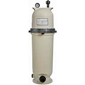 Pentair 160316 Clean & Clear Tank Cartridge Pool Filter, 100 Square Feet, Almond